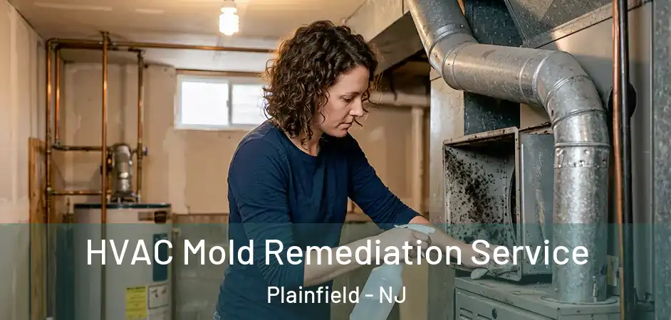 HVAC Mold Remediation Service Plainfield - NJ